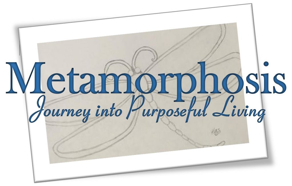 Metamorphosis Logo